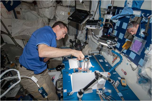 Ironing Out Nutrition's Bell-Shaped Curve – A Lab Aloft (International  Space Station Research)