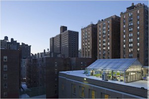 This New York-based rooftop greenhouse is an example of a closed ecological system here on Earth. (Credit: Ari Burling)