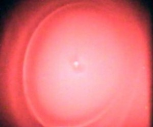 A cloud of condensed fuel, like a fog, forms around the heptane fuel droplet following its dual-stage extinguishment in the FLEX investigation. (NASA)