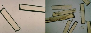 Another example of protein crystals grown in space (right), which are larger and more perfect than those grown on the ground (left). (JAXA)