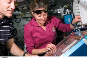 NASA astronauts Tracy Caldwell, STS-118 mission specialist, and Charles Hobaugh, pilot, working with the Commercial Biomedical Testing Module 2 investigation aboard space shuttle Endeavour. (NASA)