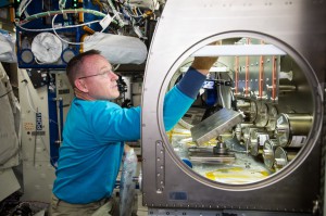 NASA astronaut Butch Wilmore setting up the Rodent Reseach-1 Hardware in the Microgravity Science Glovebox (MSG) aboard the International Space Station. (NASA)