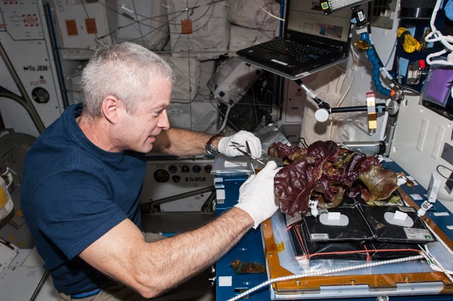 Ironing Out Nutrition's Bell-Shaped Curve – A Lab Aloft (International  Space Station Research)