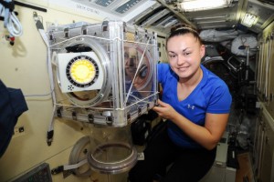 Russian cosmonaut Elena Serova, Expedition 41 flight engineer, works with hardware for the ОБР-8 Khimiya-Obrazovanie (Chemistry-Education) experiment in the Glove Minibox. Image was taken in the Rassvet Mini-Research Module 1 (MRM1) of the International Space Station. (NASA)