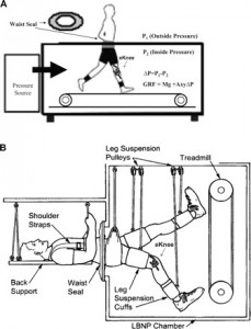 “Moonwalker” system to reduce body weight and speed recovery from disease and injury using lower body compression. Suction chamber with vertical treadmill to move blood and body fluids back to the feet and generate weight-bearing forces in horizontal posture as when we stand up and walk on Earth. Reproduced with permission of Macias BR, D’Lima DD, Cutuk A, Patil S, Steklov N, Neuschwander TB, Meuche S, Colwell CW and Hargens AR. Leg intramuscular pressures and in vivo knee forces during lower body positive and negative pressure treadmill exercise. Journal of Applied Physiology 113 (1): 31-38, 2012