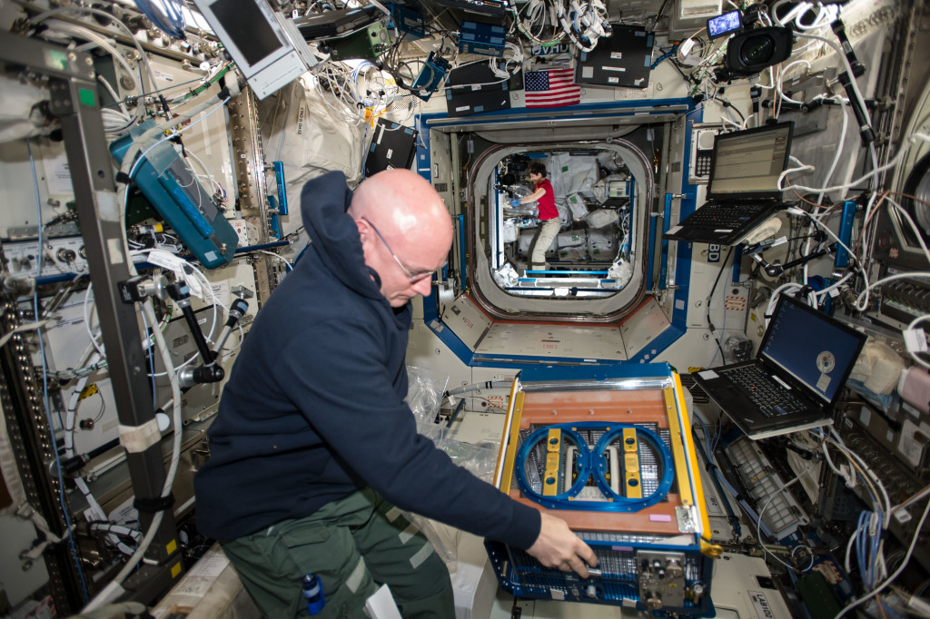 NASA astronaut Scott Kelly handling the Rodent Research Facility aboard the International Space Station. (NASA)