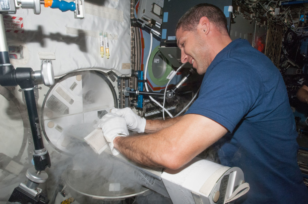 NASA astronaut Michael Hopkins, Expedition 37 flight engineer, prepares to insert samples into a Minus Eighty Laboratory Freezer for ISS (MELFI) dewar tray in the International Space Station’s Destiny laboratory. Credits: NASA