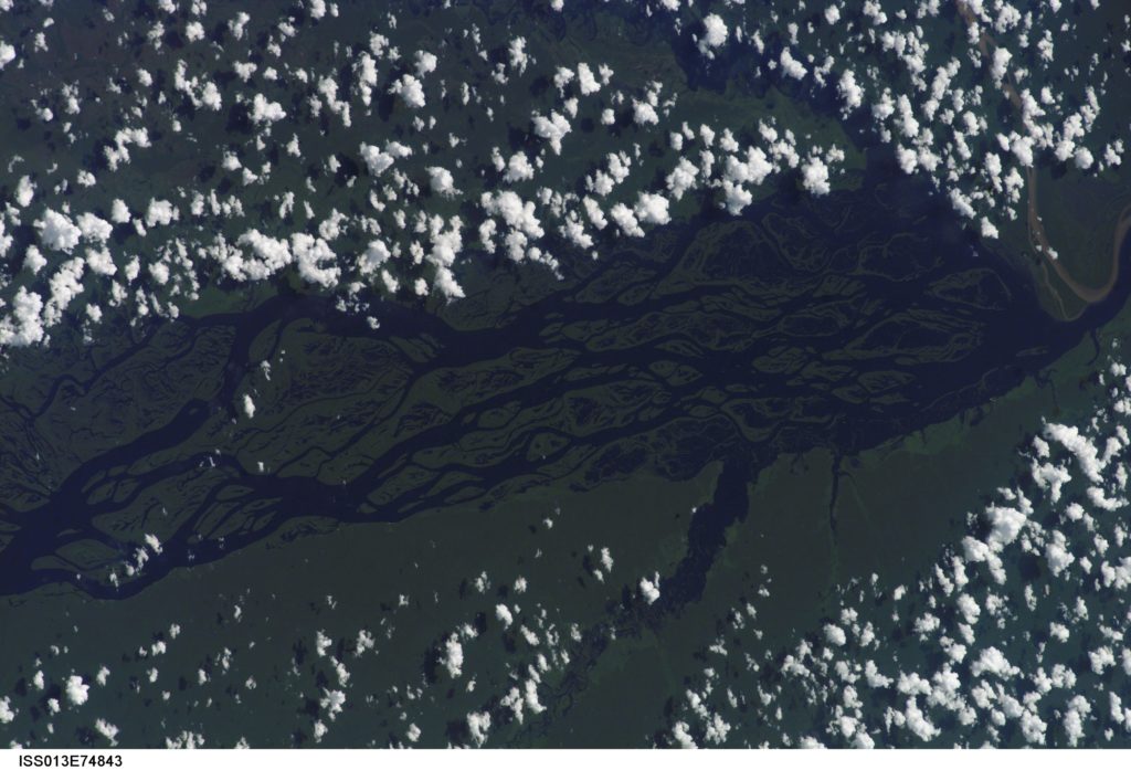 The wide, multi-island zone in the Rio Negro (Black River) shown in this image from the International Space Station is one of two, long "archipelagoes" upstream of the city of Manaus (not shown) in central Amazonia, Brazil. Ninety kilometers of the total 120 kilometers length of this archipelago appear in this view. This image was captured on Sept. 2, 2006. Credits: NASA 