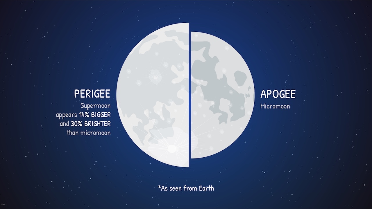 You “Woodn’t” Want to Miss the Beaver Moon, Last Supermoon of 2024 ...