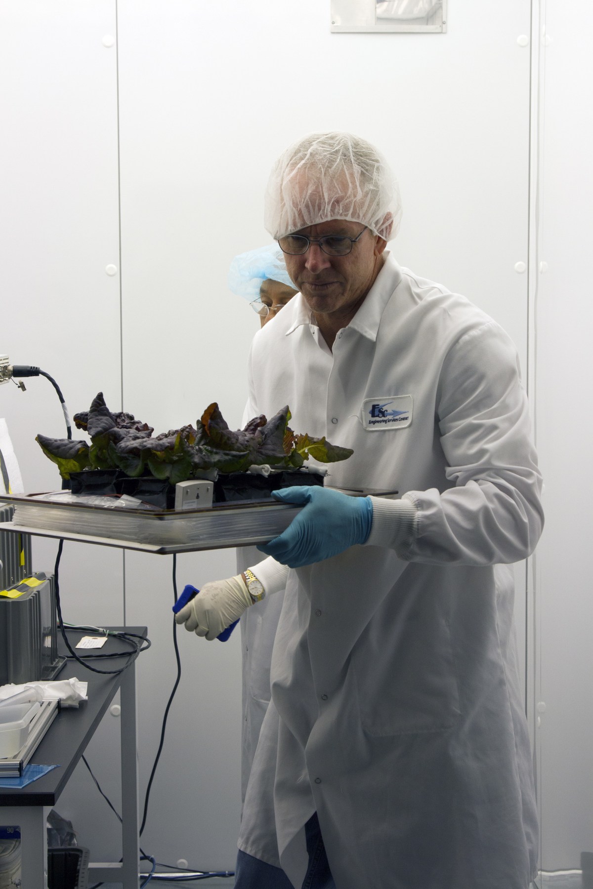 Plants Harvested as Part of Station Experiment