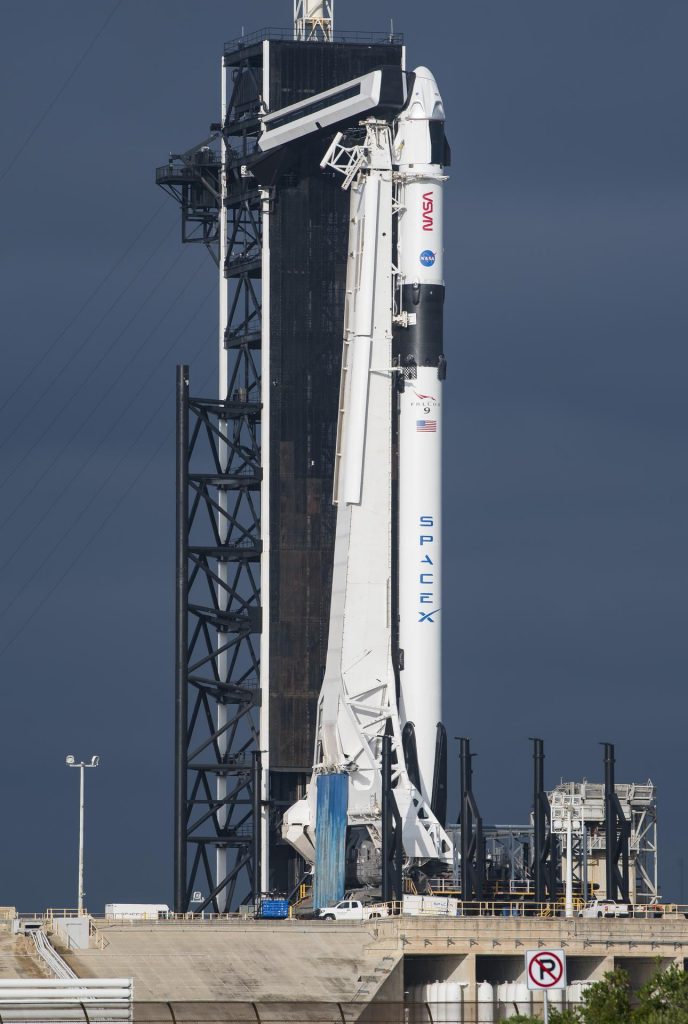 Crew-1 rocket and spacecraft on pad