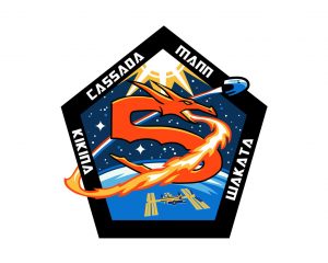 NASA's SpaceX Crew-5 patch