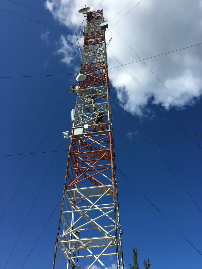 The tower has instruments along its scaffolding to take measurements of the air above interior Alaska. Credit: NASA/Kate Ramsayer