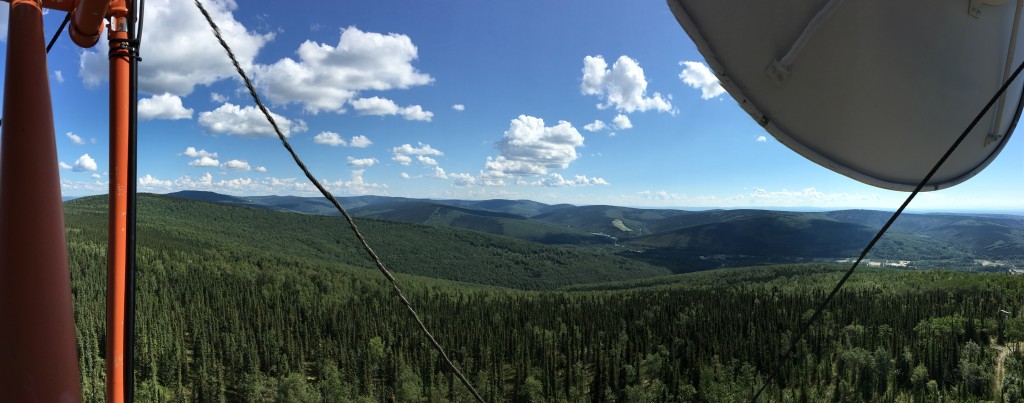 Alaska boreal forest