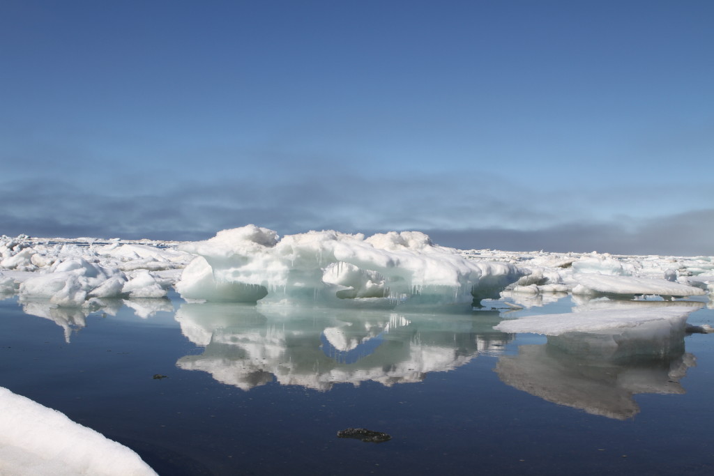 Arctic Melt Denali Ice Melt