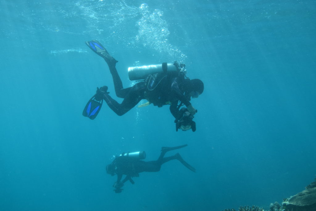 Diver photograph the sea floor