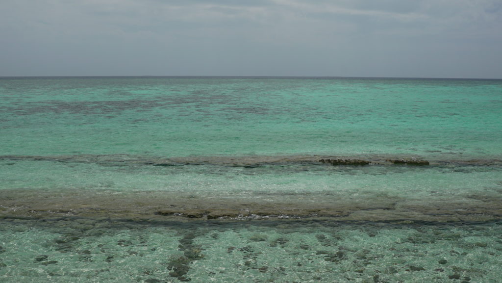 Reef off the shore of Heron Island. Credit: Jim Round/NASA JPL