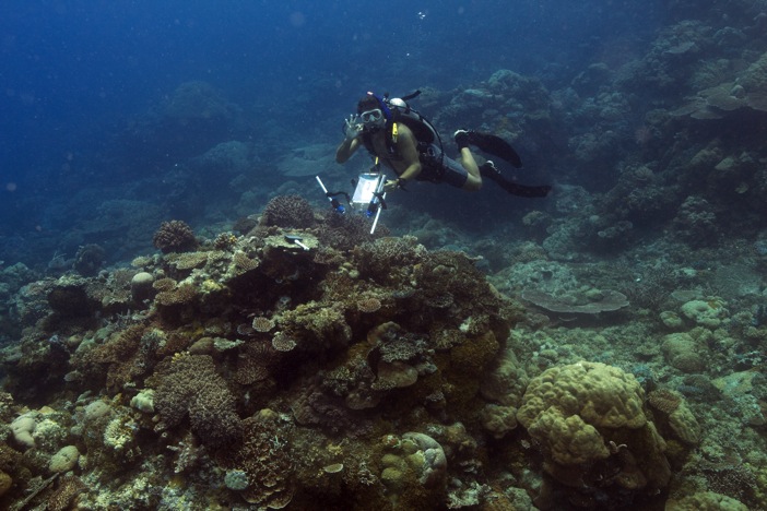 CORAL – NASA Earth Expeditions