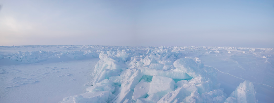 An Active Arctic: Where Sea Ice Meets the Midnight Sun – NASA Earth ...