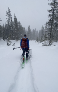 SnowEx scientists trek to the study site on cross-country skis. Credit: G. Antonioli