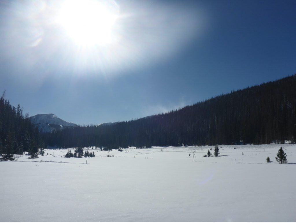 The field site at Cameron Pass, Colorado. 