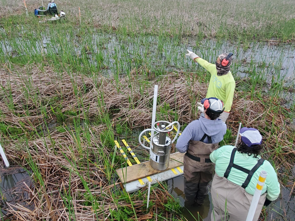 LSU team (Andre, Brandon, and Amanda) in foreground at their feldspar station with the FIU team (Edward, Elena, and Emily) in background.