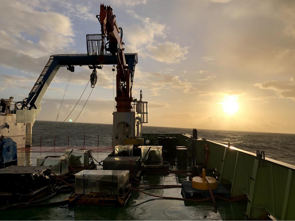 A sunset on the water, taken from the EXPORTS boat.