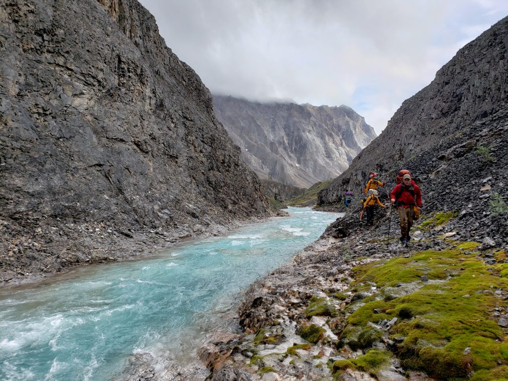 Scientists record visual observations of plant community composition and density through the Brooks Range in northern Alaska. Photo by Roman Dial.