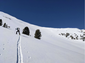 Gabrielle setting a trail on skis.