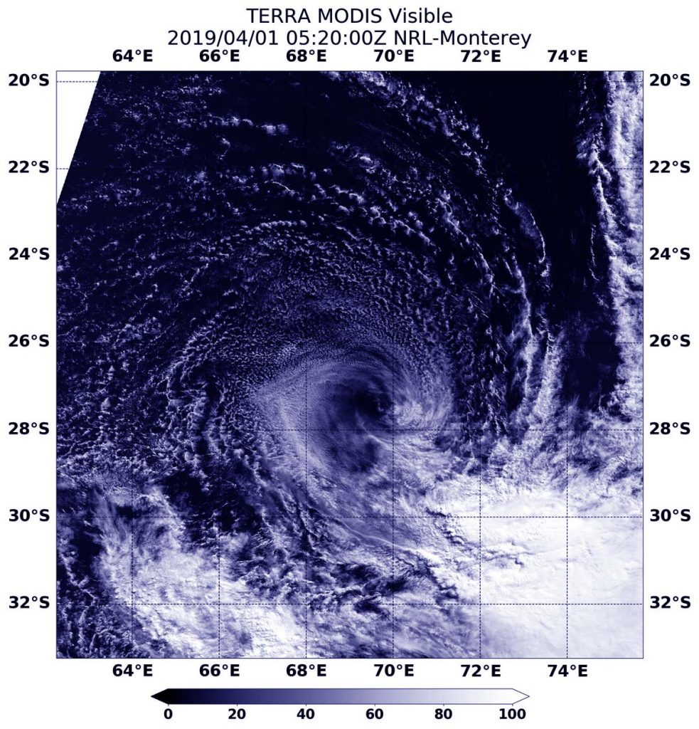 Terra image of Joaninha