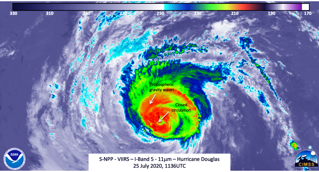 Infrared image of Douglas