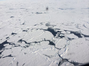 broken sea ice