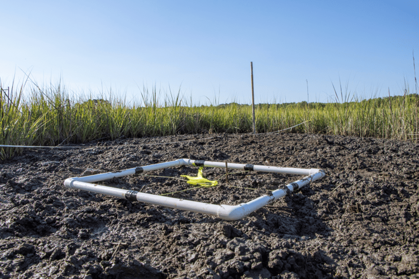 A rectangle of PVC pipe with string running between it cutting it into quarters sits on a mound of dirt. 