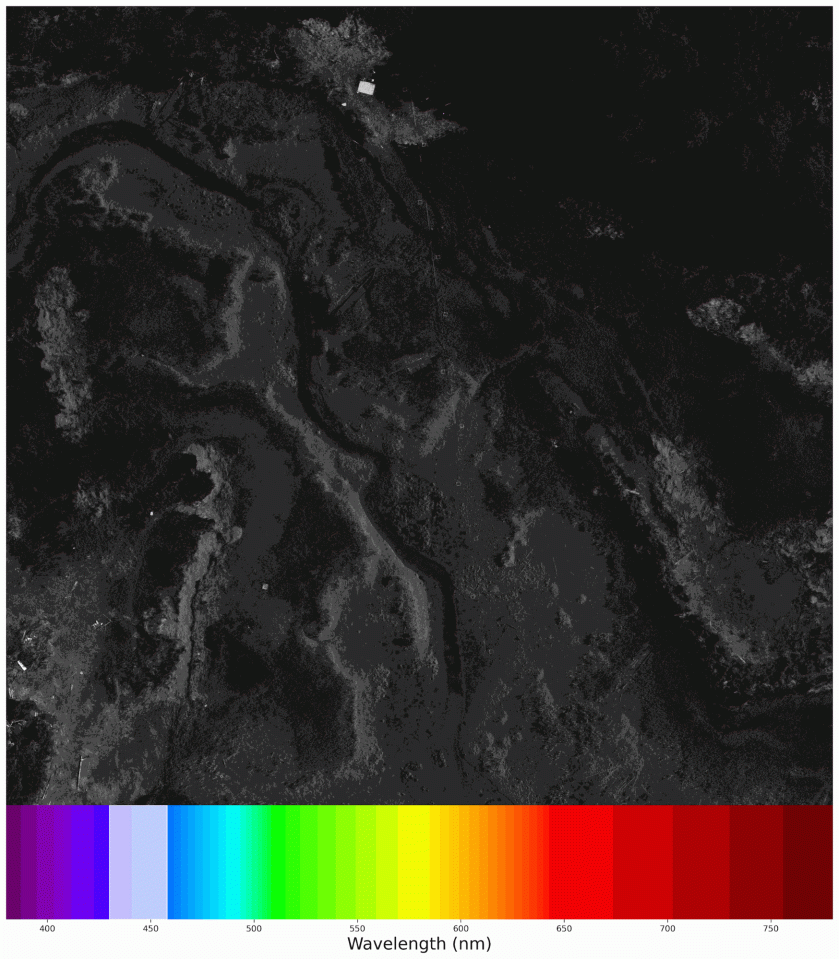 Black and white landscapes from above visualized with colorizations of data. 