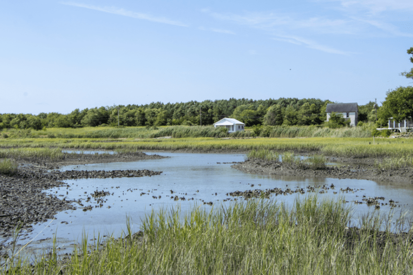 Picturesque vista of boggy waterways near Virginia's Chesapeake Bay.