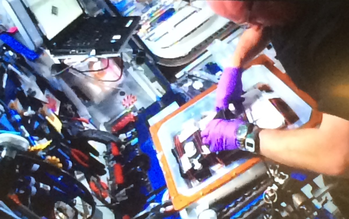 Astronauts Plant Second Crop of Lettuce on Station