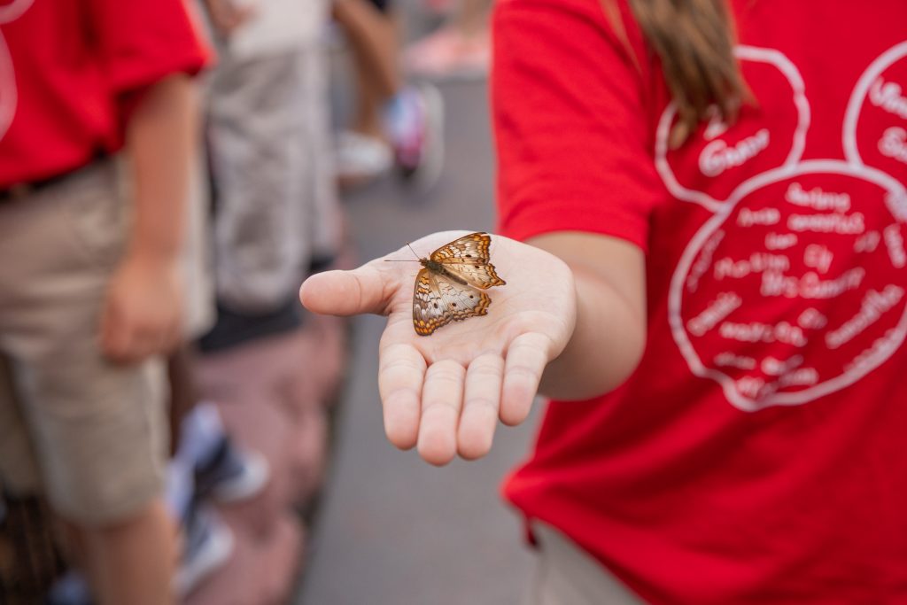 A butterfly sits in the palm of a visitor’s hand at the Kennedy Space Center Visitor Complex in Florida. 