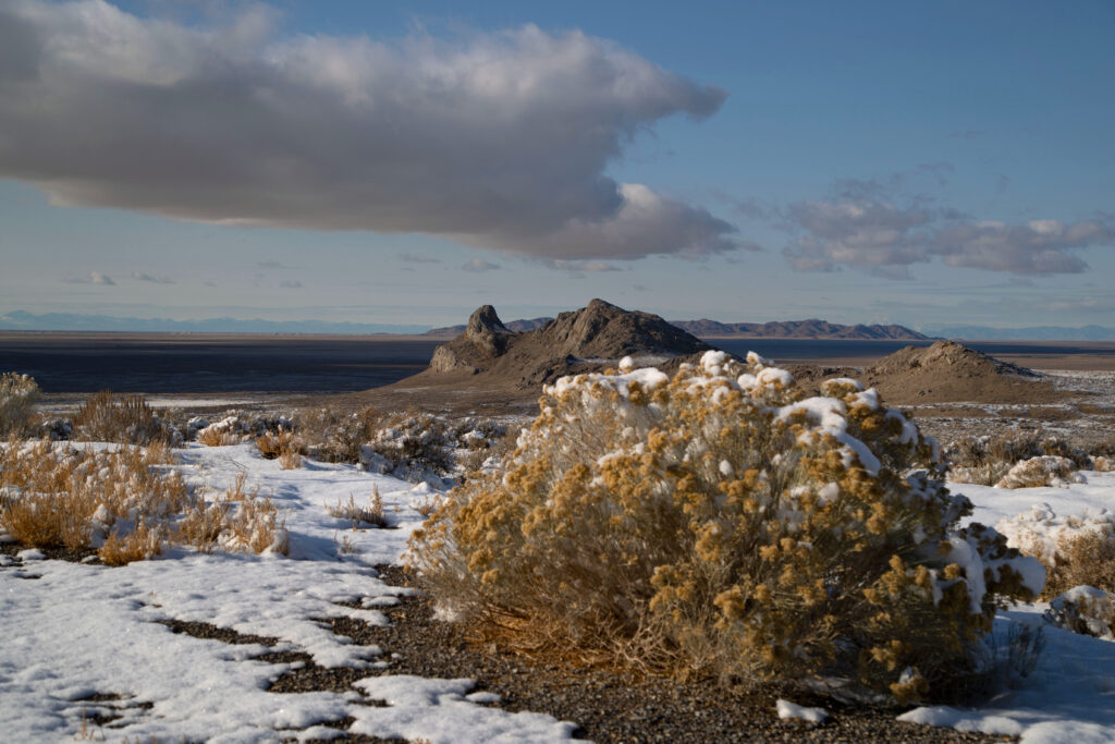 A landscape view of nothing but daytime sky, brownish desert, and mountains in the distance. Fluffy clouds hang at the top of the image, just above the mountains, casting a dark shadow over the otherwise sun-lit surface. A dusting of snow covers the desert floor at the foreground of the image. A bush with dry yellow buds stands in foreground, capped by handfuls of snow left over from a melt.