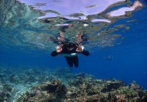 The picture is taken from below the water, looking upwards at a woman who is floating facedown. She is wearing a black wetsuit and has a blue floating device around her waist. She is signaling two "okay" signs to the camera. The bottom third of the image shows the rocky reef, and is a dark brown color with some light blue reflections of the water on it. The middle third of the image shows the deep blue of the open water in the background. The top third of the image is still underwater, but is closer to the surface, so reflections of the light blue sky are distorted and rippling.