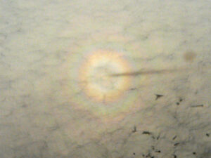 The image looks down from a plane, looking at an expanse of fluffy clouds. Centered in the image is a glory, a faint circular rainbow. 