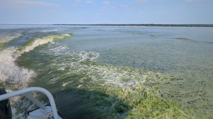 The horizon of the image is about three-quarters of the way up the picture. The bottom portion of the picture shows green waters of the lake, some portions with white peaks from waves created from the boat, which can be slightly seen on the left side of the image. The top portion of the picture shows the gray-blue colored sky.