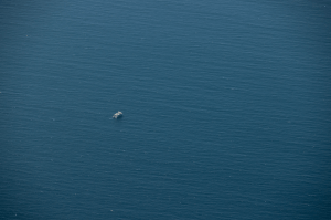 The image is primarily a deep blue of the ocean, with small ripples of waves seen. It is taken from high above the ocean. There is a small white dot in the center left of the image, which is the Shearwater research vessel as seen from the sky.