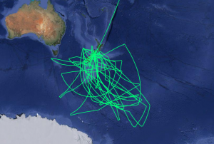 All the flight paths SOFIA flew from Christchurch, New Zealand. 