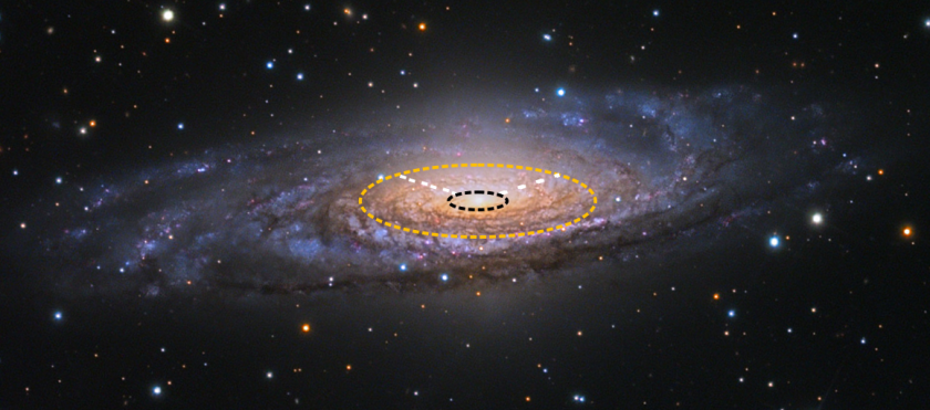 NGC 7331 galaxy with circles showing the different sections of the galaxy.