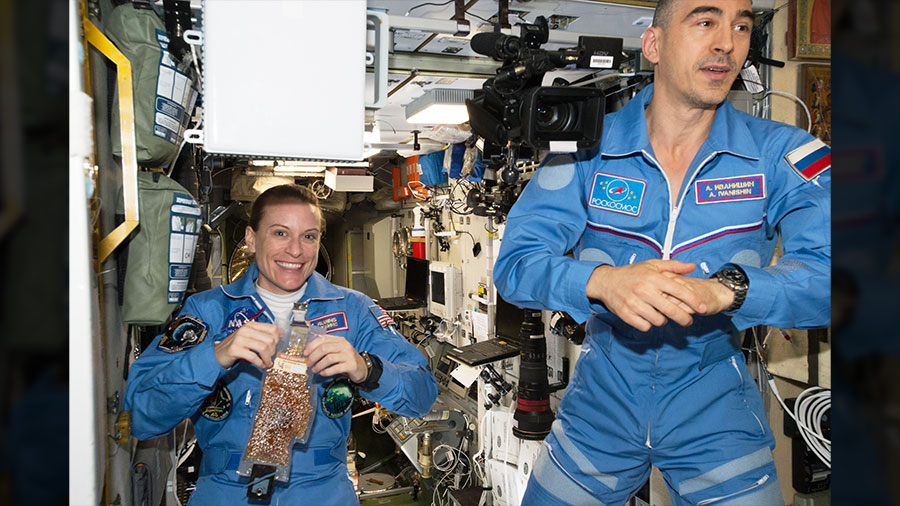 Expedition 48-49 Crew Members Kate Rubins and Anatoly Ivanishin