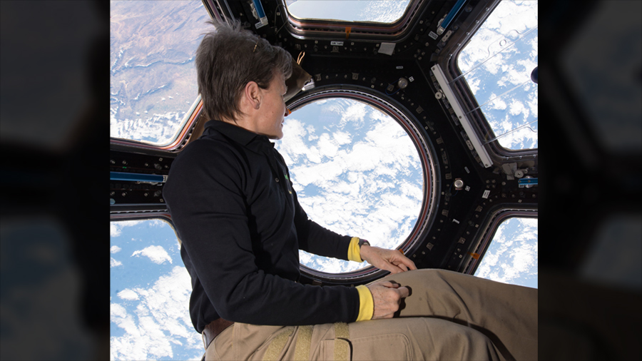 Astronaut Peggy Whitson