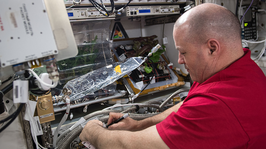 NASA astronaut Scott Tingle