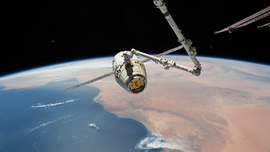 The SpaceX Dragon cargo craft is pictured in the grips of the Canadarm2