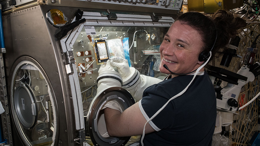 Flight Engineer Serena Auñón-Chancellor conducts research operations for the AngieX Cancer Therapy study