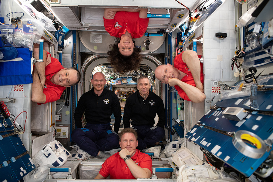 The Expedition 56 crew members pose for a fun portrait